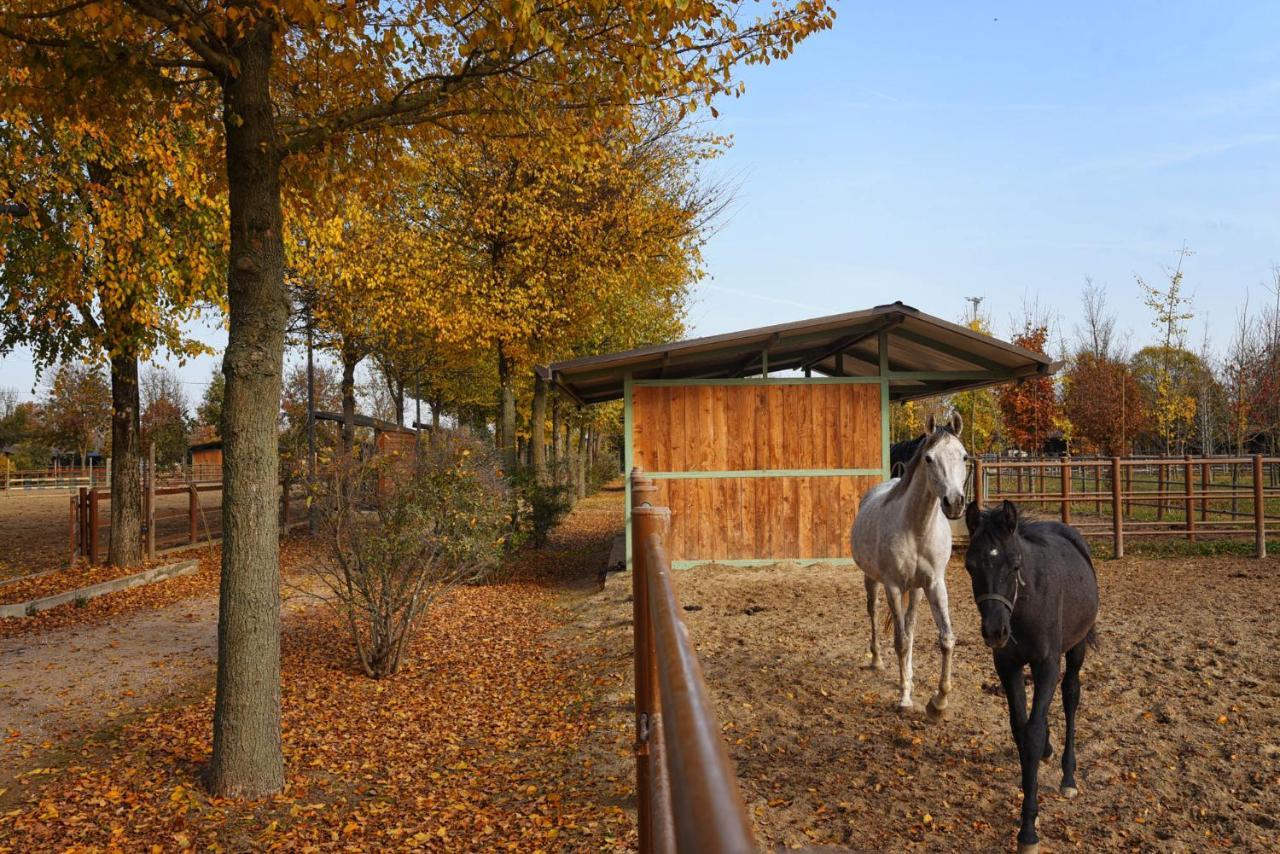 Agriturismo Corte Benetti Rovigo Exterior photo